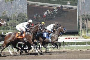 sports-betting-market image