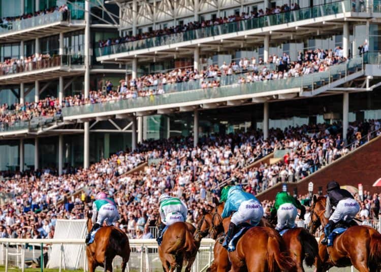 Horses with jockeys running on the turf in front of a large crowd- a metaphor for a guide to horse racing betting