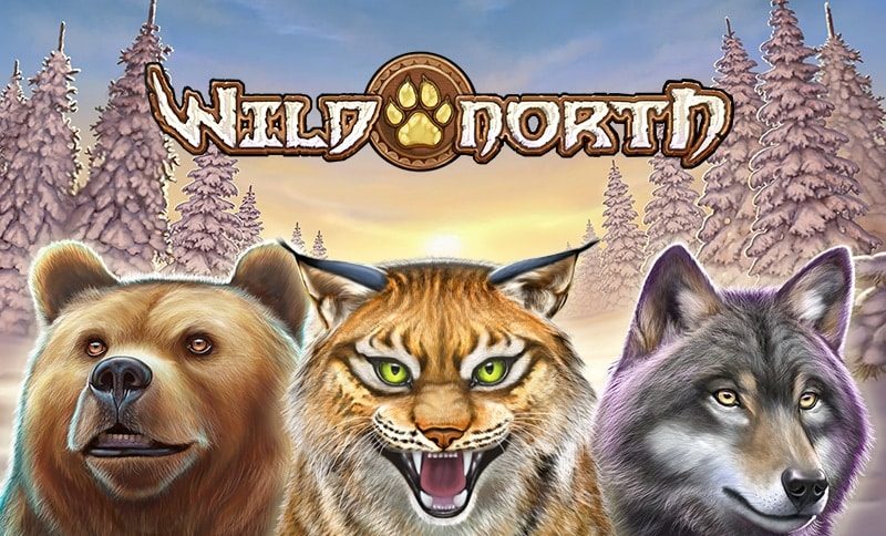 Wild North Slot Game