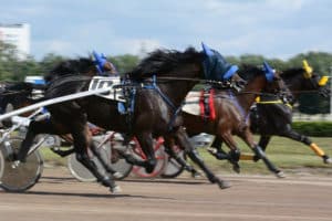 Prince Edward Island harness racing image