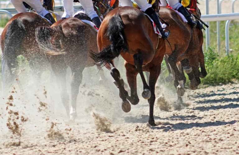 woodbine entertainment image