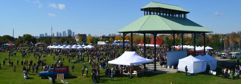 Woodbine Entertainment cco image