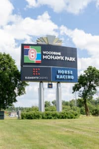 Woodbine Entertainment thoroughbred image