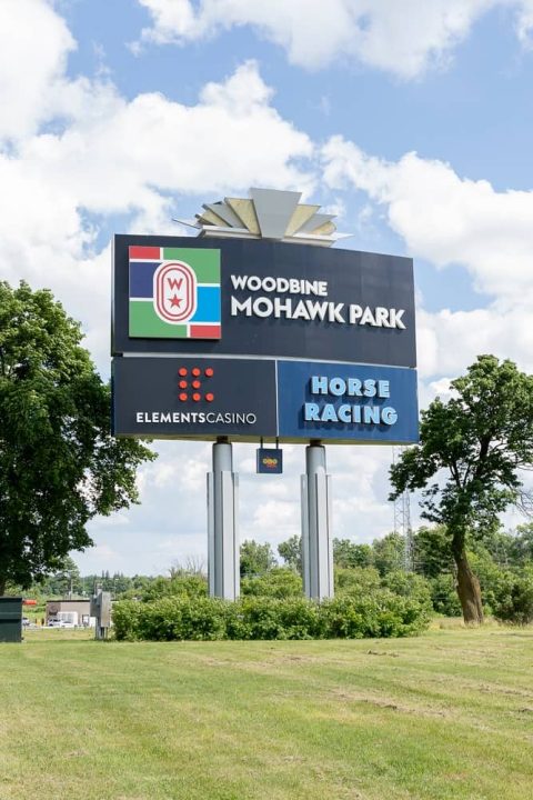 Woodbine Entertainment thoroughbred image