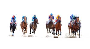 Woodbine thoroughbred season image