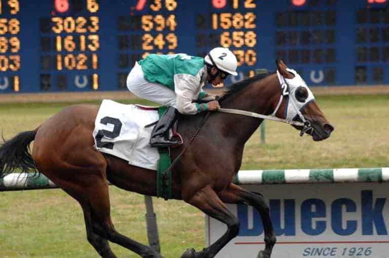 Hastings Racecourse loan image