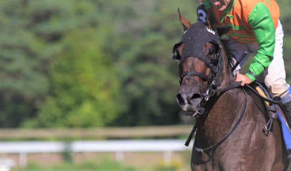 Woodbine Entertainment image