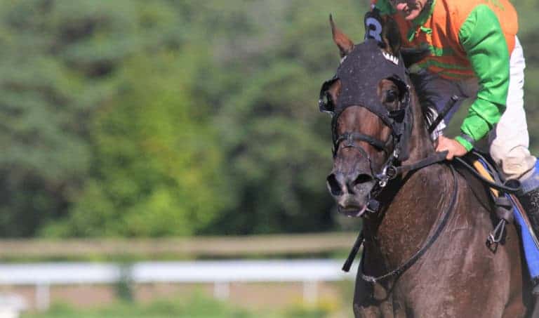 Woodbine Entertainment image