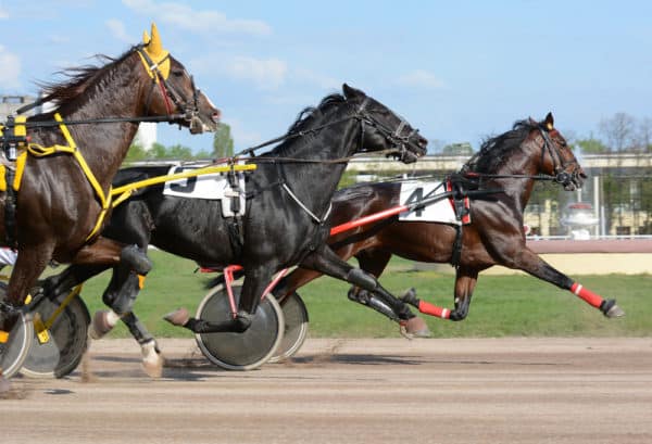 Mohawk Million image