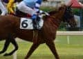 Breeder's Stakes image