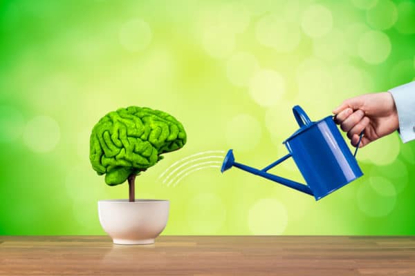 brain development gambling image