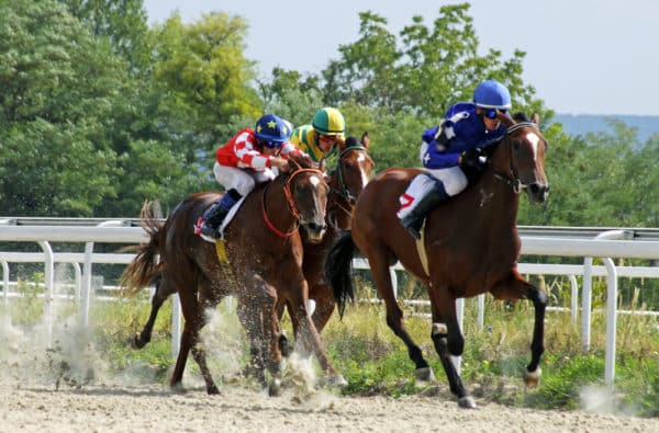 Grade II Autumn Stakes image