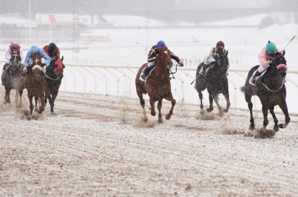 Woodbine Mohawk Park winter series image