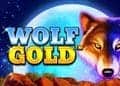 Wolf Gold Online Slot