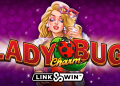 Lady Charm Bug Online Slot Game Logo Image