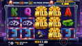Cash Patrol Free Spins Gameplay Mode