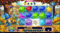 Wizard Of Gems Online Slot Wild Symbol