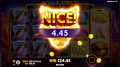 Wolf_Gold_Nice_Win