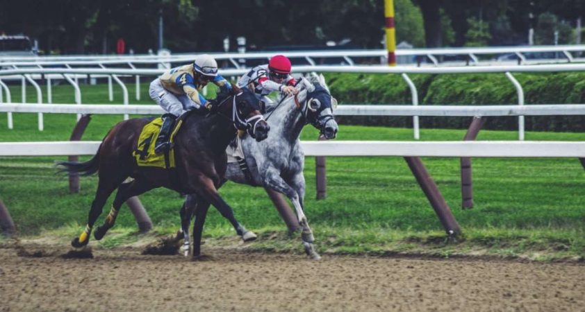 fort erie race track image