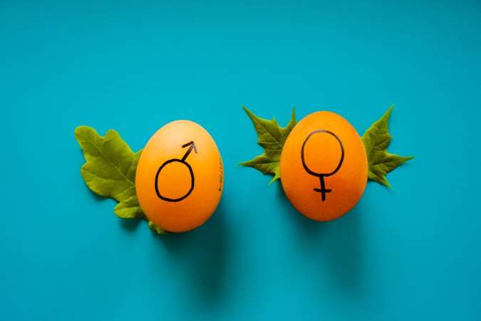 gambling-gender-differences image