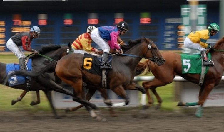 horse_racing_in_vancouver image
