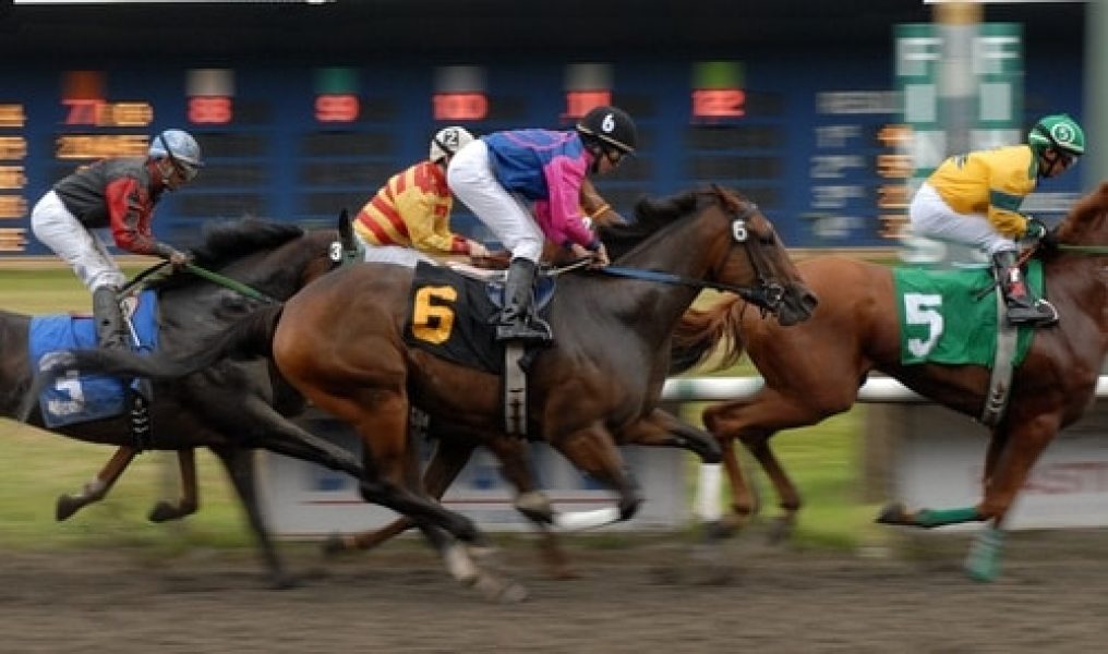 horse_racing_in_vancouver image