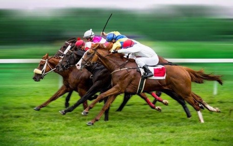 Different Types of Horse Racing You Can Bet On