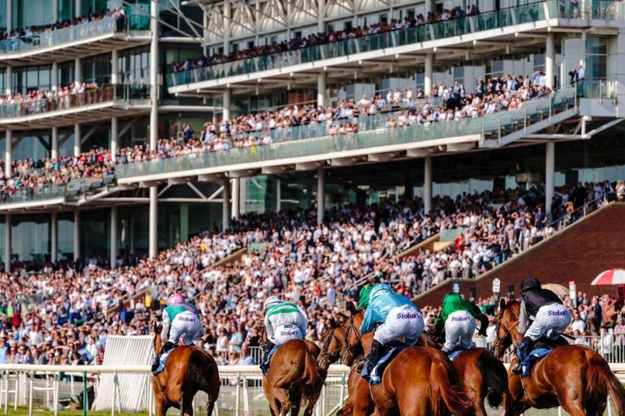 Horses with jockeys running on the turf in front of a large crowd- a metaphor for a guide to horse racing betting