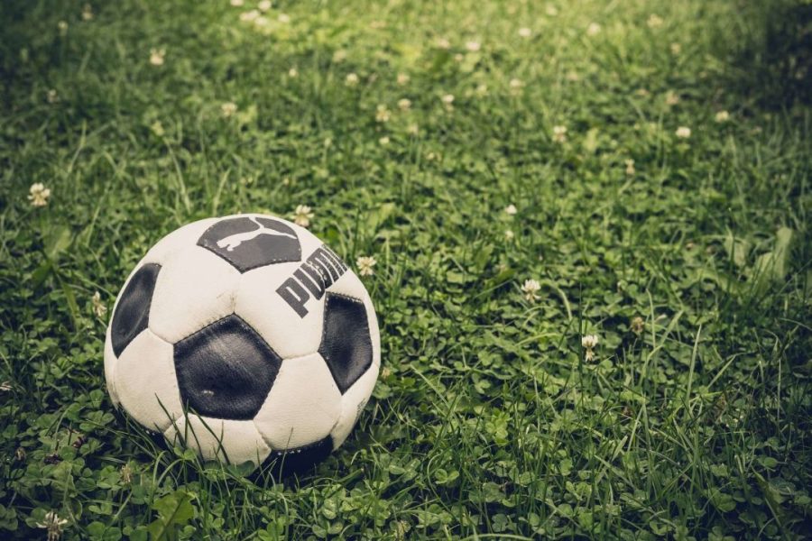 The Essential Facts to Know About Sports Betting