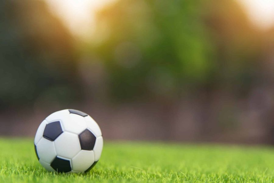 Sports Betting FAQs to Familiarise You With Sports Betting