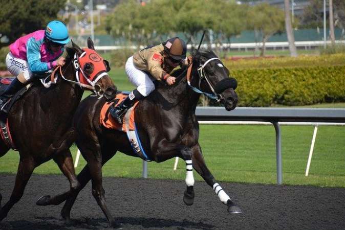 sports-betting-regulation image
