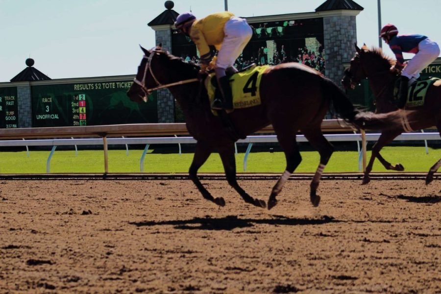 Different Types of Horseracing Bets You Can Wager On