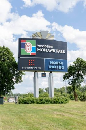Woodbine Entertainment thoroughbred image